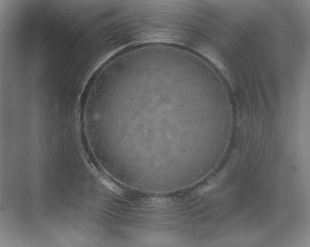 X0000073840933200608101226