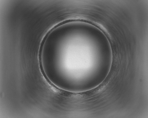 X0000073840943200608101226