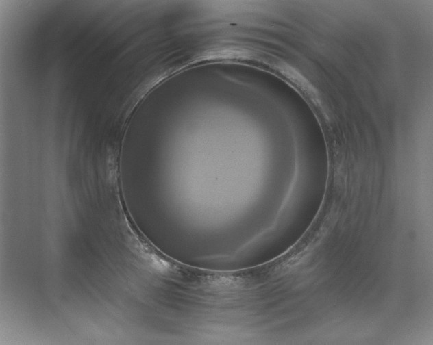 X0000073840945200608101226