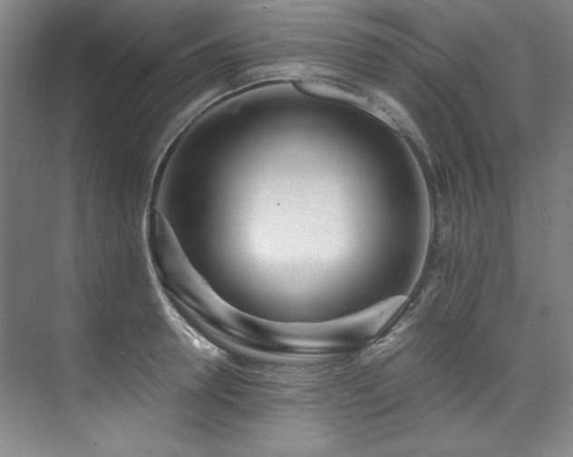X0000073840946200608101226