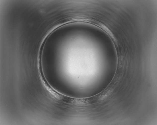 X0000073840955200608101226