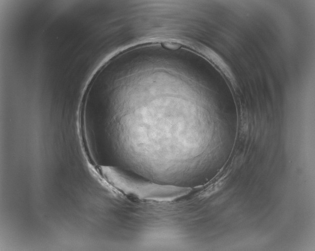 X0000073840958200608101226