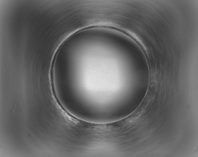 X0000073840959200608101226