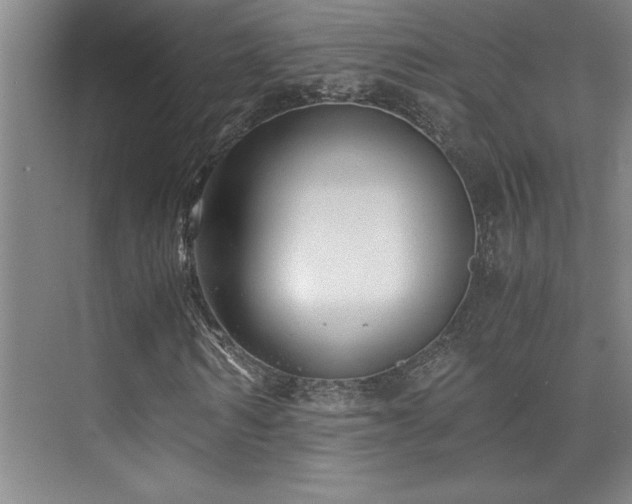 X0000073840962200608101225