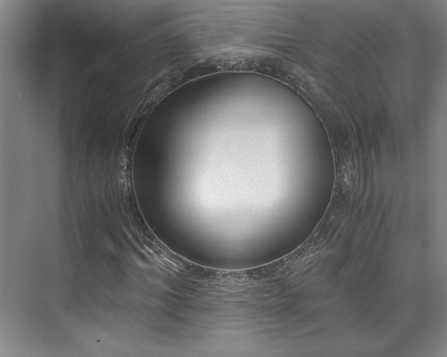 X0000073840964200608101225