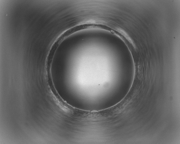 X0000073840972200608101225