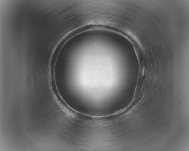X0000073840976200608101225
