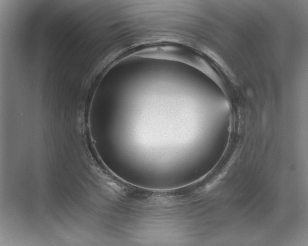 X0000073840977200608101225