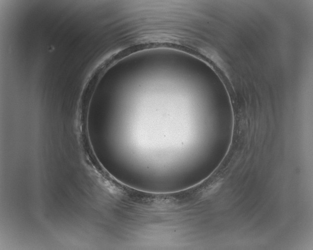 X0000073840979200608101225