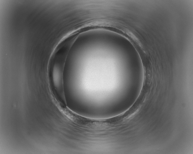 X0000073840981200608101225
