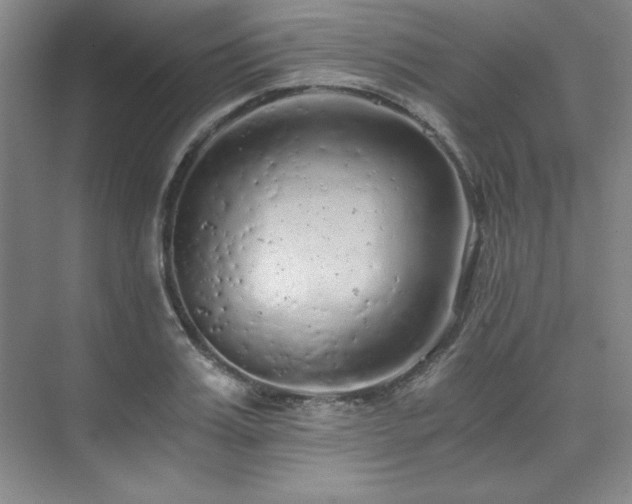 X0000073840987200608101225