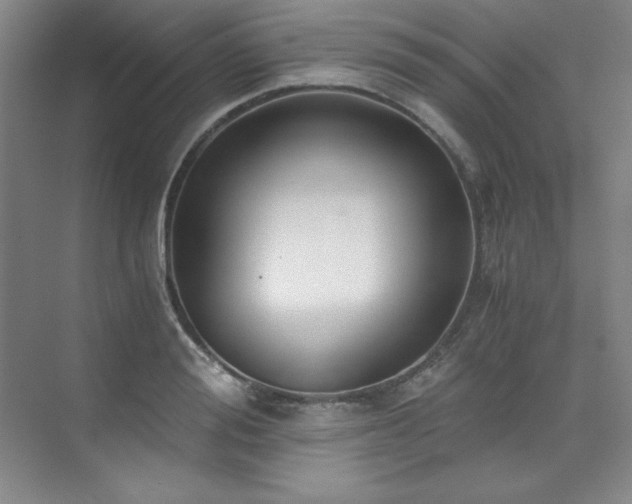 X0000073840988200608101225