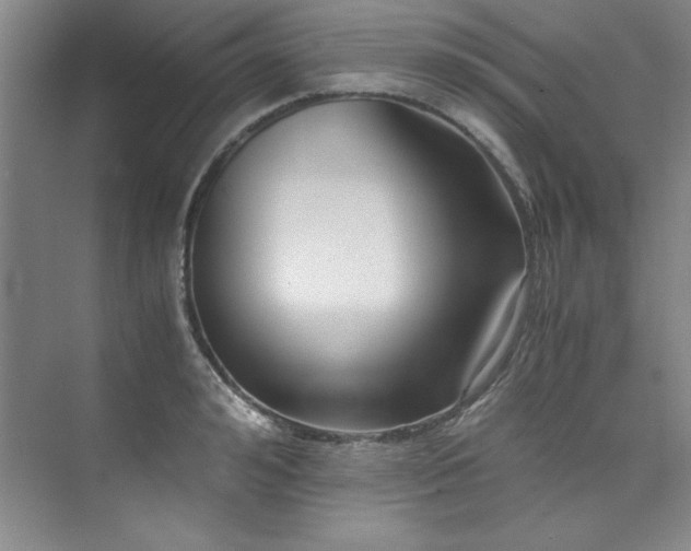 X0000073840992200608101225