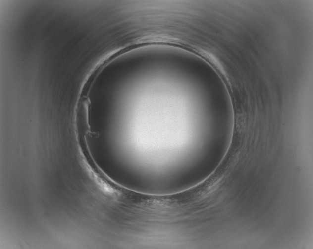 X0000073840995200608101225