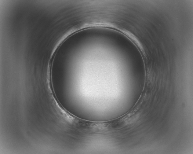X0000073841006200608101224