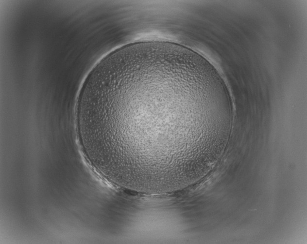 X0000073841008200608101224