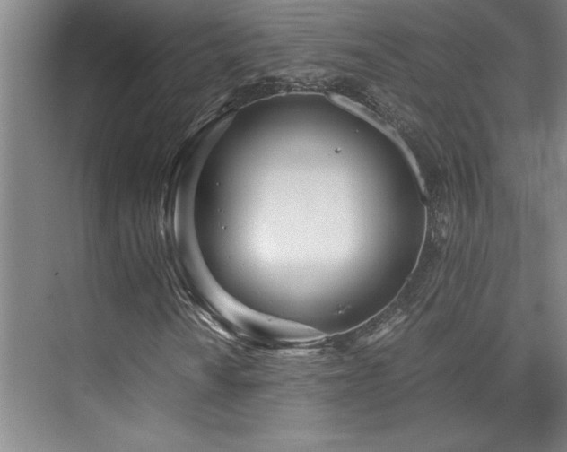 X0000073841010200608101224