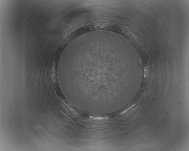 X0000073841011200608101224