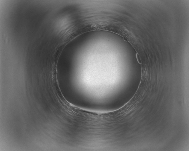 X0000073841012200608101224