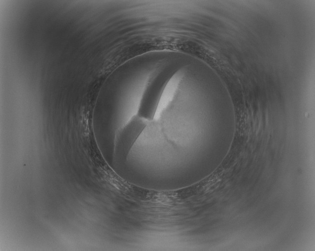 X0000073841013200608101224