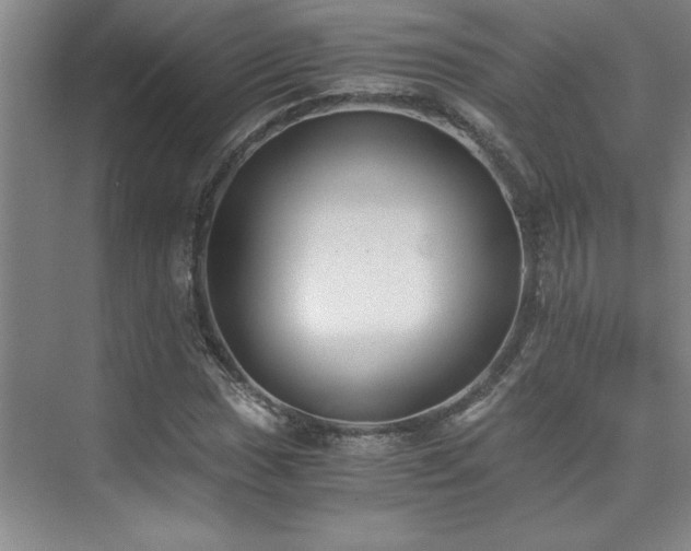 X0000073841017200608101224