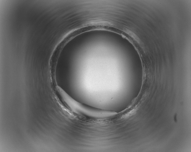 X0000073841022200608101224