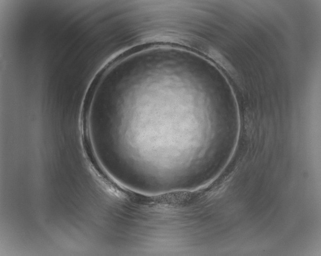 X0000073841028200608101224