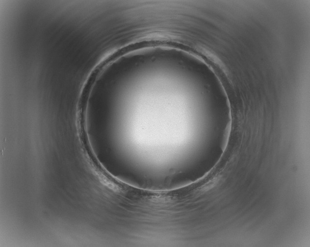 X0000073841029200608101224