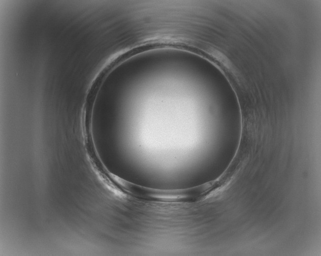 X0000073841030200608101224