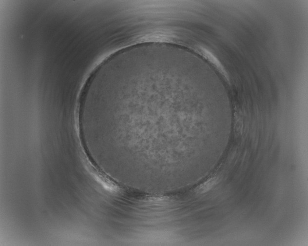 X0000073841035200608101224