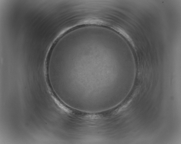 X0000073841037200608101224