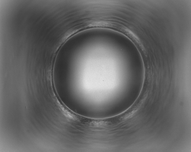 X0000073841041200608101224