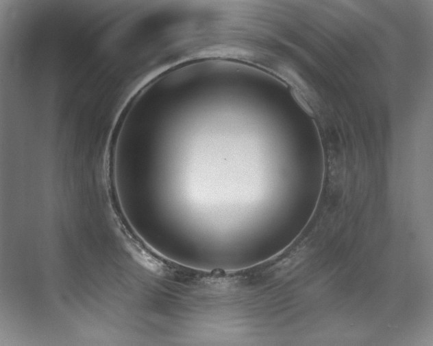 X0000073841044200608101224