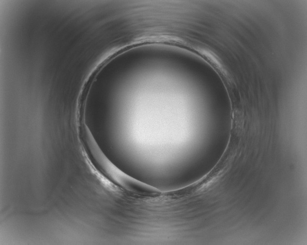 X0000073841046200608101224