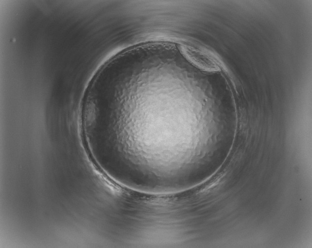 X0000073841048200608101224