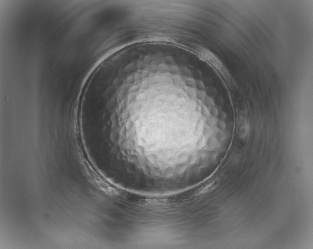 X0000073841052200608101224