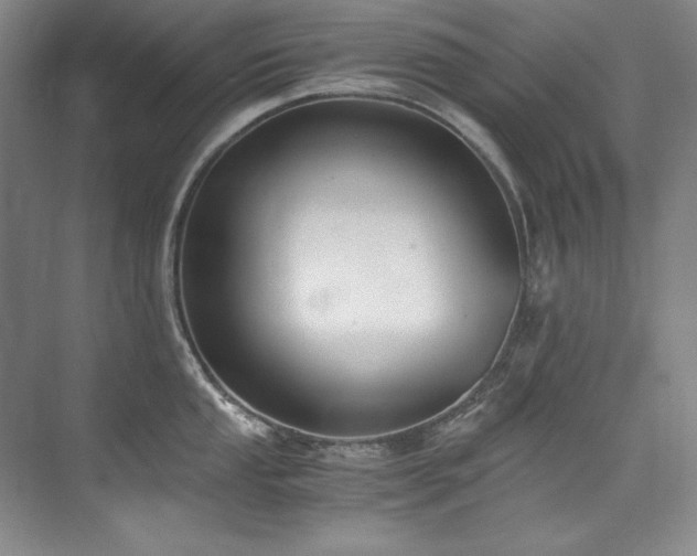 X0000073841053200608101224