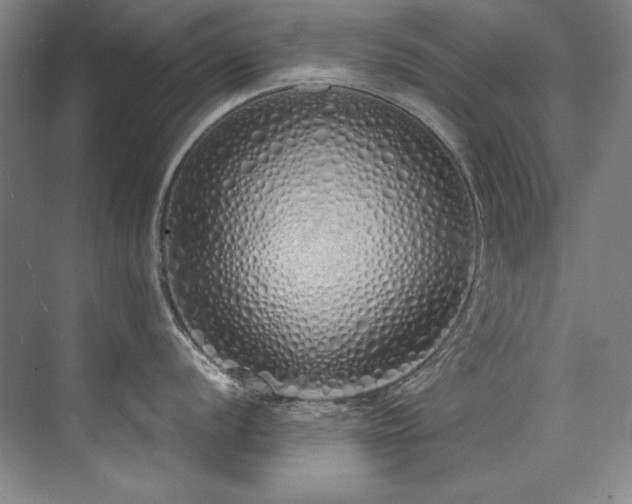 X0000073841056200608101224