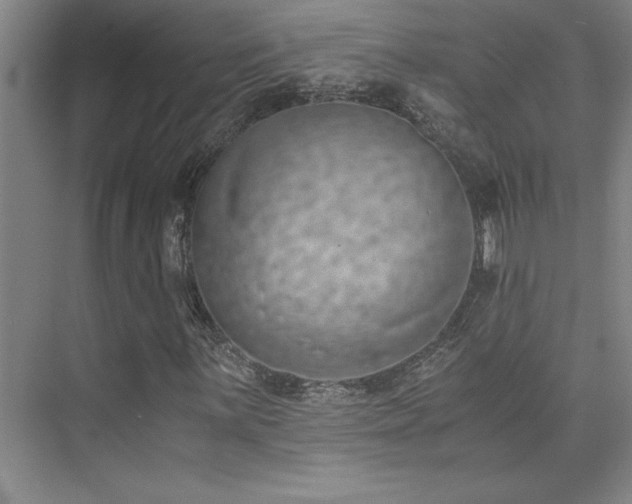 X0000073841059200608101224