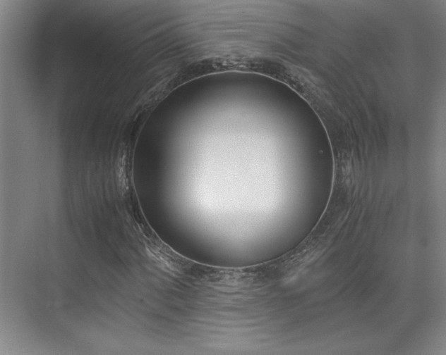 X0000073841060200608101224