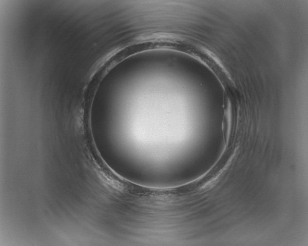 X0000073841066200608101223