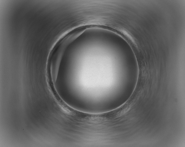 X0000073841077200608101223