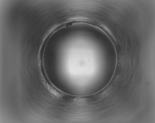 X0000073841082200608101223