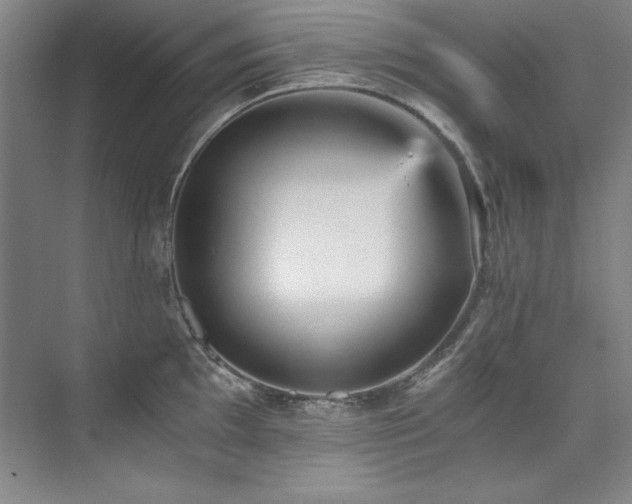X0000073841097200608101223