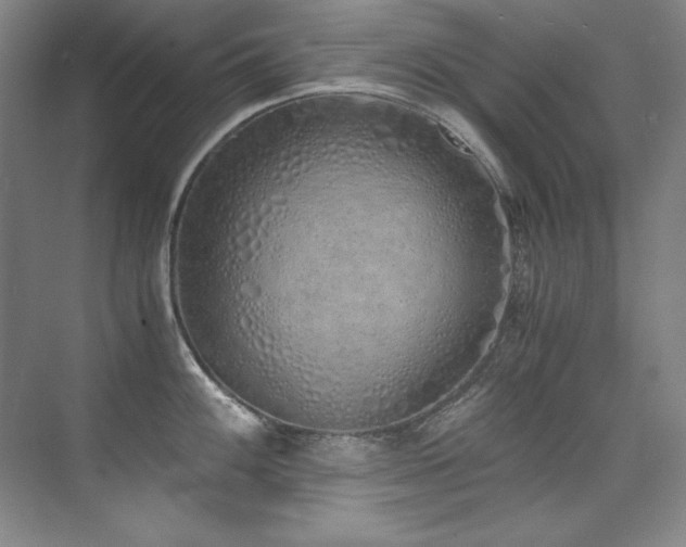 X0000073841100200608101223