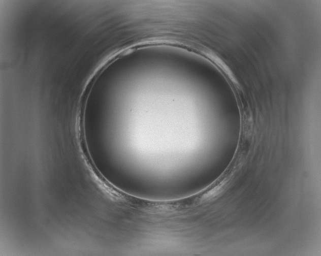 X0000073841101200608101223