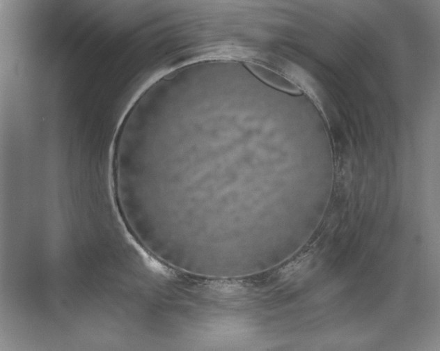 X0000073841103200608101223