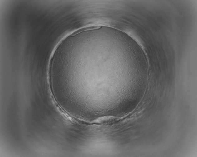 X0000073841104200608101223