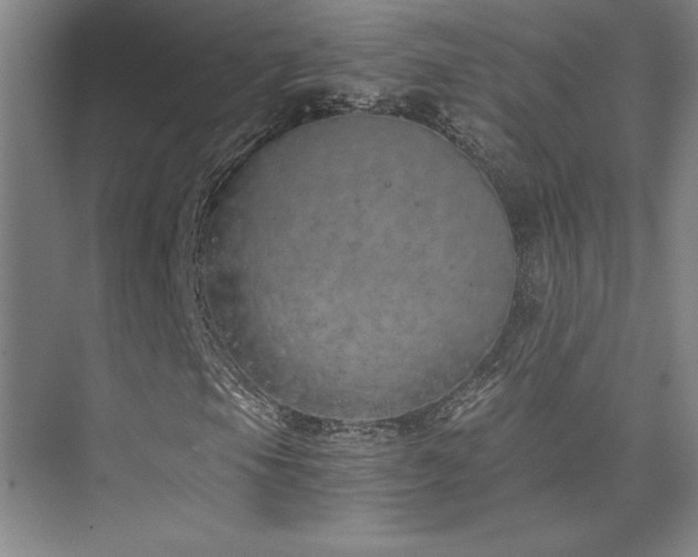 X0000073841105200608101222