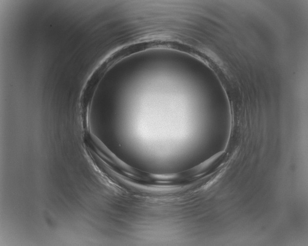 X0000073841118200608101222
